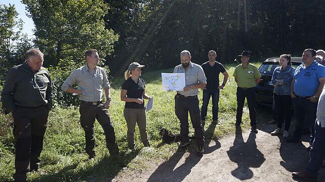 Betriebsstellenleiterin Virginia Lorek sowie Büroleiter Johannes Mayer vom Kreisforstamt erläutern das Konzept der Ökopunkte im Wald, ...