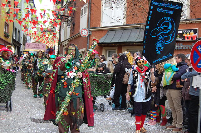 Bild 16: Bilder vom Fasnachtsumzug in Laufenburg (2)