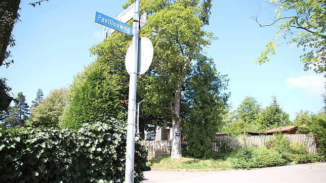 Wer sich den Pavillonweg hochgekämpft hat, sieht die Stelle am Baum, wo einst der 1875 errichtete Aussichtsturm stand.
