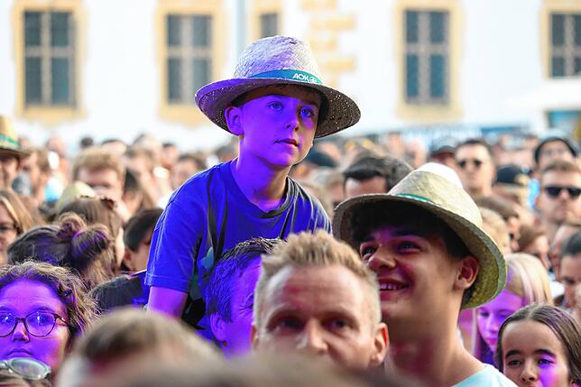 Bild 3: Bilder der großen Party mit den Fäaschtbänklern im Salemer Schlosspark