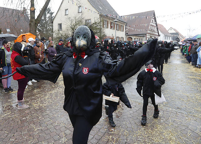 Bild 13: Bilder zum großen Narrentreffen in Pfohren (1)