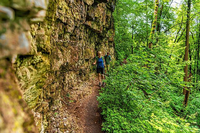 Der Schluchtensteig verspricht eine wildromantische Landschaft mit Schluchten, Wasserfällen und tollen Ausblicken.