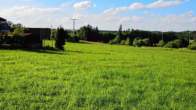 Die Zufahrt zum geplanten Baugebiet „Öschle“ erfolgt von der Kreisstraße aus, unterhalb der Häuserzeile der „Lindenstraße“.
