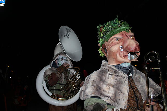 Bild 21: Bilder vom Nachtumzug zum 44. Jubiläum der Narrenzunft Hochemmingen