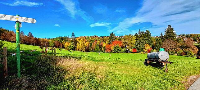Bild 15: So schön ist der Herbst im Schwarzwald und auf der Baar