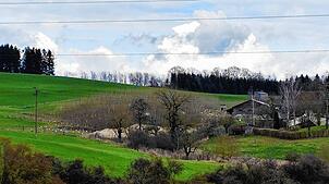 Zu sehen sind einige Gebäude des Hönig-Hofes auf der Mühlinger Reißmühle. Noch in diesem Jahr soll links davon ein neues Stallgebäude ...