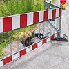 Über dem Biberbau ist die Straße eingebrochen. Ein Tiefbauunternehmen soll nun prüfen, ob die Straße noch weiter unterhöhlt wurde.