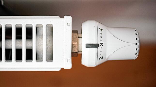 Heizen wird diesen Winter für die meisten Wohnungsbesitzer deutlich teurer. Die Preisanstiege fallen jedoch je nach Brennstoff ...