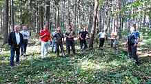 Fachkundig begleitet vom Forstpersonal verschaffte sich der Gemeinderat bei einer Waldbegehung ein Bild von der Situation im Geisinger ...