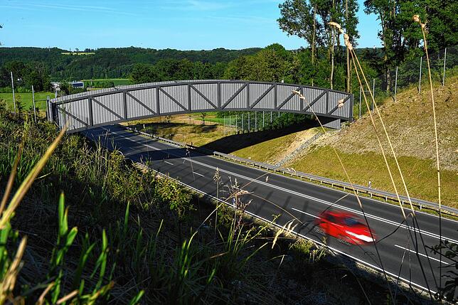 Die Fledermausbrücke bei Biberach an der Riß.