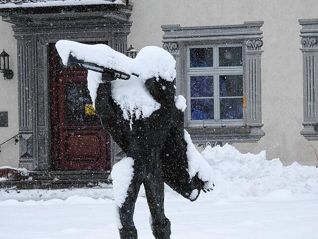 Trompeter im Winterkleid: Aufgrund der Schneemassen wurde der Schlosspark gesperrt.