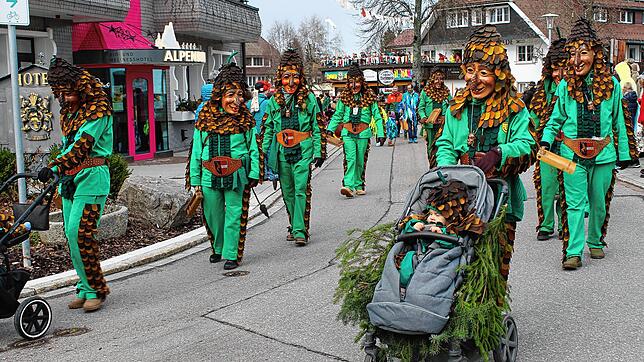 Auch der Nachwuchs der Höchenschwander Tannenzäpfle im Kinderwagen wird närrisch herausgeputzt. Archivbild: Cornelia Liebwein