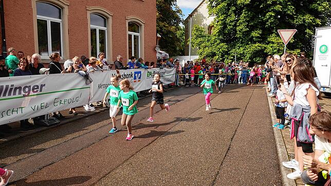 Bild 8: 13. Klettgau-Lauf in Weisweil – Teil 1