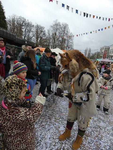 Bild 10: Teil 2: Bildergalerie zum Albbrucker Narrentreffen am 2. und 3. Februar 2019