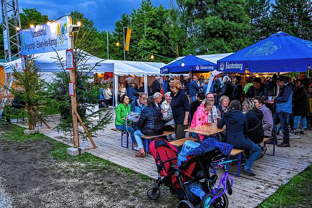 Bild 8: Tolle Stimmung beim Brigachtaler Dorffest – Teil 5