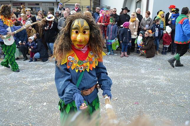 Bild 3: Eigeltinger Narrentage: Der Sonntagsumzug in Bildern (3)