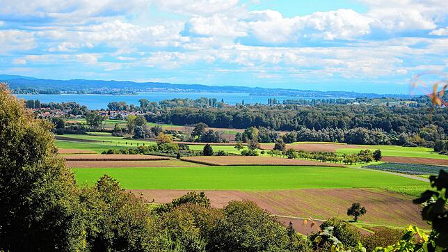 So sieht das Grundstück von oben aus, auf dem eine Freiflächensolaranlage entstehen soll: Errichtet werden soll sie auf dem grünen Feld ...