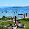 Badeverbot? Welches Badeverbot? Überzeugt sind weder Konstanzer noch Gäste von dieser Regel. Viele kühlen sich daher am Strandbad Hörnle ...