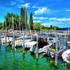 Bild :