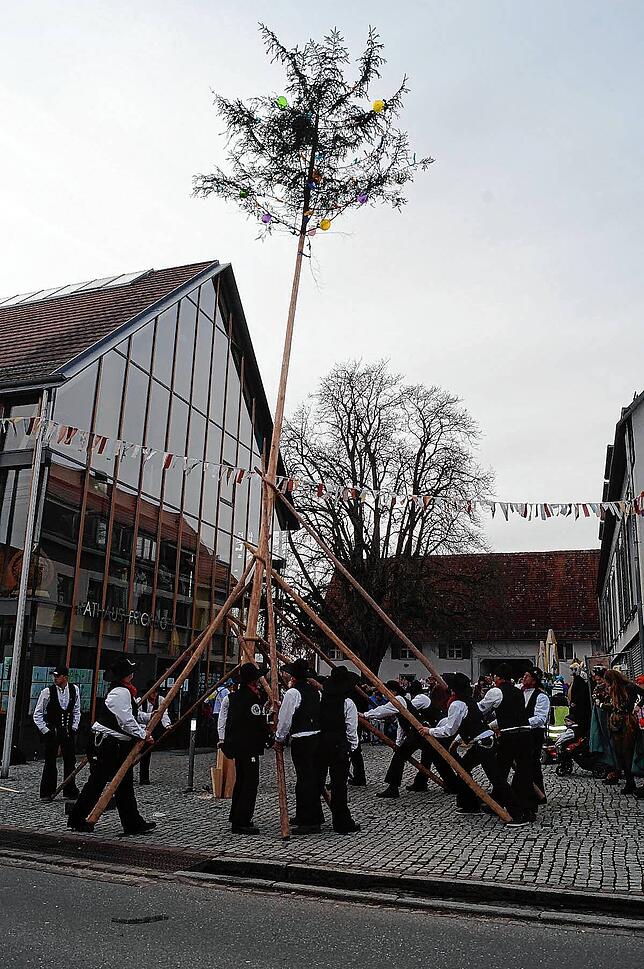 Bild 6: Bilder vom Frickinger Narrenbaumstellen