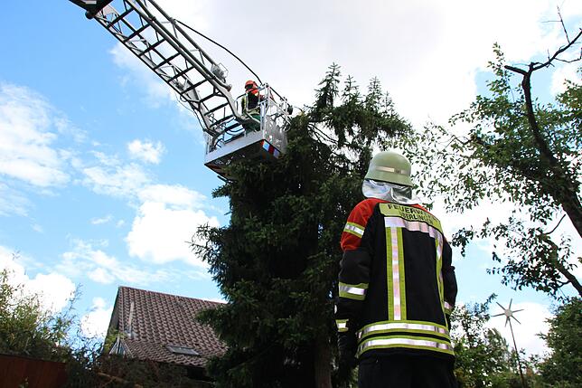 Die Feuerwehr Überlingen sichert einen umsturzgefährdeten Baum.