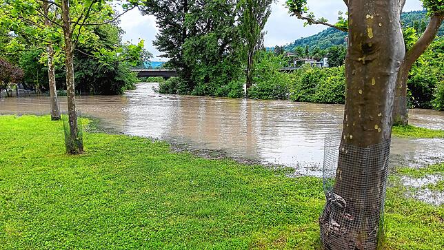 Der Regen ist nicht aufzuhalten: Hochwasser am Hochrhein von Reckingen bis Kadelburg.