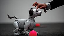 Roboterhund Aibo aus dem Hause Sony.