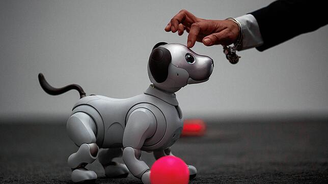 Roboterhund Aibo aus dem Hause Sony.