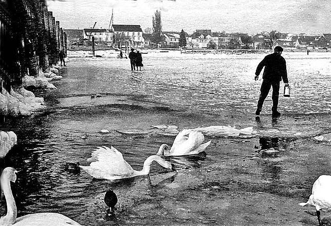 Bild 8: Diese Foto-Schätze von der Seegfrörne 1963 schlummern in Familienalben
