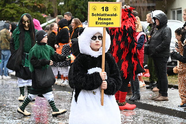 Bild 25: Die schönsten Bilder vom Fasnachtsumzug in Schwerzen: So feiern die Narren trotz Nieselregen