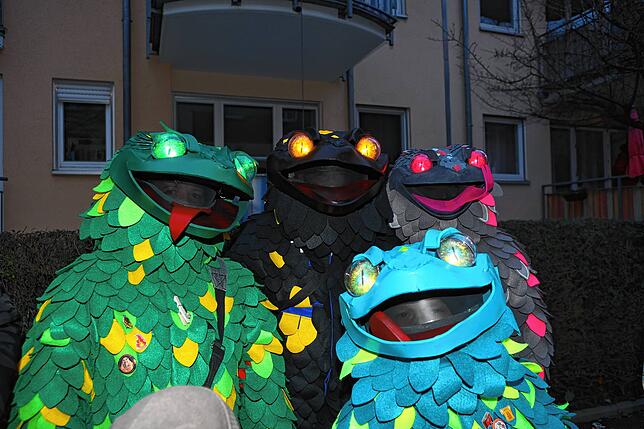 Bild 8: In Petershausen steht der Narrenbaum! Alle Fotos vom Freitagabend