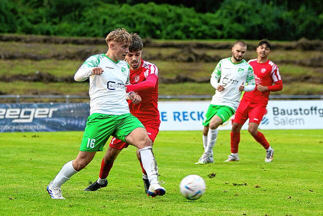 Bild 41: Aufsteiger FC RW Salem besiegt Absteiger DJK Donaueschingen 2:0. Die besten Bilder!