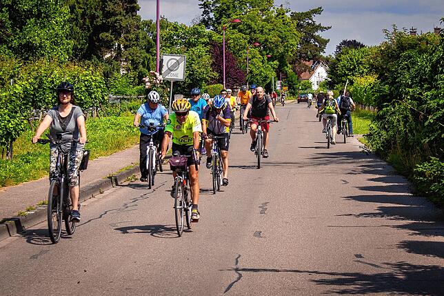 Vormittagsverkehr am Bodenseeradweg.