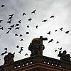 Ein Dohlenschwarm fliegt über ein mittelalterliches Gemäuer. Zeigt dieses Symbolbild eine mögliche Vision für Villingen?