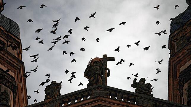 Ein Dohlenschwarm fliegt über ein mittelalterliches Gemäuer. Zeigt dieses Symbolbild eine mögliche Vision für Villingen?