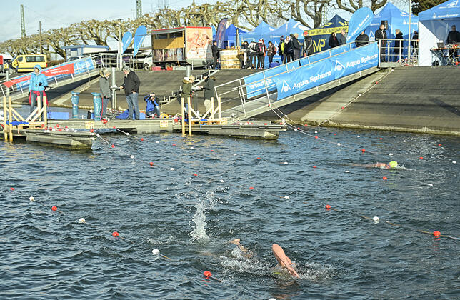 Bild 4: Eis-Schwimmen im Hafenbecken des Radolfzeller Yachtclubs