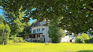 Blick in den Park von Schloss Billafingen. Hier sollen, wenn es nach dem Eigentümer geht, rund zehn Pkw-Stellplätze entstehen.