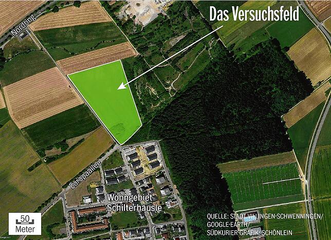 Bild 1: Französische Zedern, amerikanische Douglasien oder türkische Tannen: Sieht so der Schwarzwald der Zukunft aus?