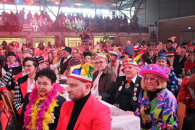 Bild 13: Fasnacht in Stockach: Narrengericht 2025 – Zuschauer feiern mit tollen Bildern!