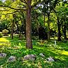 Der Radolfzeller Waldfriedhof bietet unter anderem Baumgräber für naturnahe Bestattungen an.
