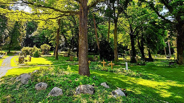 Der Radolfzeller Waldfriedhof bietet unter anderem Baumgräber für naturnahe Bestattungen an.