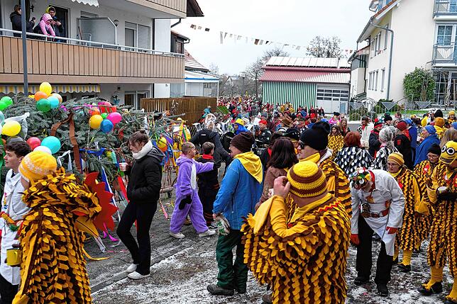 Bild 12: Bilder vom Zunftmeisterempfang und vom Narrenbaumstellen in Kippenhausen