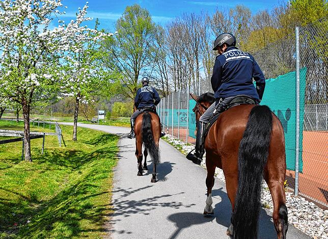 Am Eingang zum Naturschutzgebiet bei der Sporthalle in Bodman stand der Pferdetransporter und von dort aus starteten die Polizeireiter.
