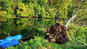 Der Baum des Bootsanlegesteges des Zeltlagers wurde einfach umgeworfen