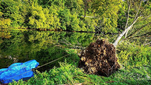 Der Baum des Bootsanlegesteges des Zeltlagers wurde einfach umgeworfen