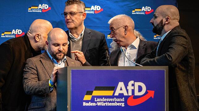 Politiker der AfD-Baden-Württemberg beratschlagen in der Stadthalle über das weitere Vorgehen beim Landesparteitag. Der Sonderparteitag ...