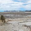 Blick von der Rotachmündung auf Friedrichshafen. Viel Wasser gibt es dort momentan nicht.