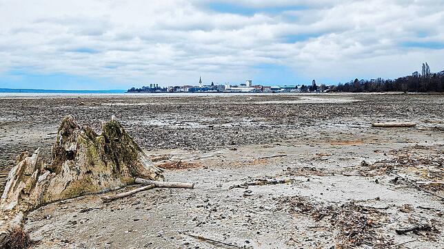 Blick von der Rotachmündung auf Friedrichshafen. Viel Wasser gibt es dort momentan nicht.