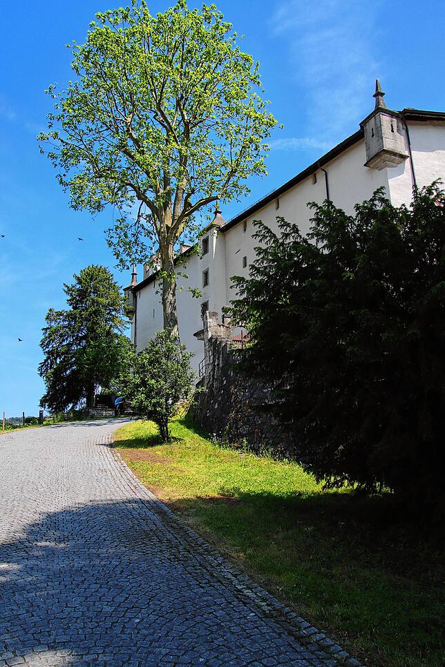Bild 2: Schloss Wildenstein steht für 22,5 Millionen Franken zum Verkauf: So sieht es in dem Anwesen aus