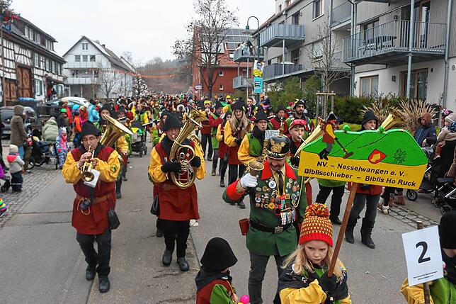 Bild 29: Bonndorf feiert den 40. Geburtstag des Narrenvereins mit riesigem Umzug